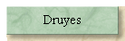 Druyes